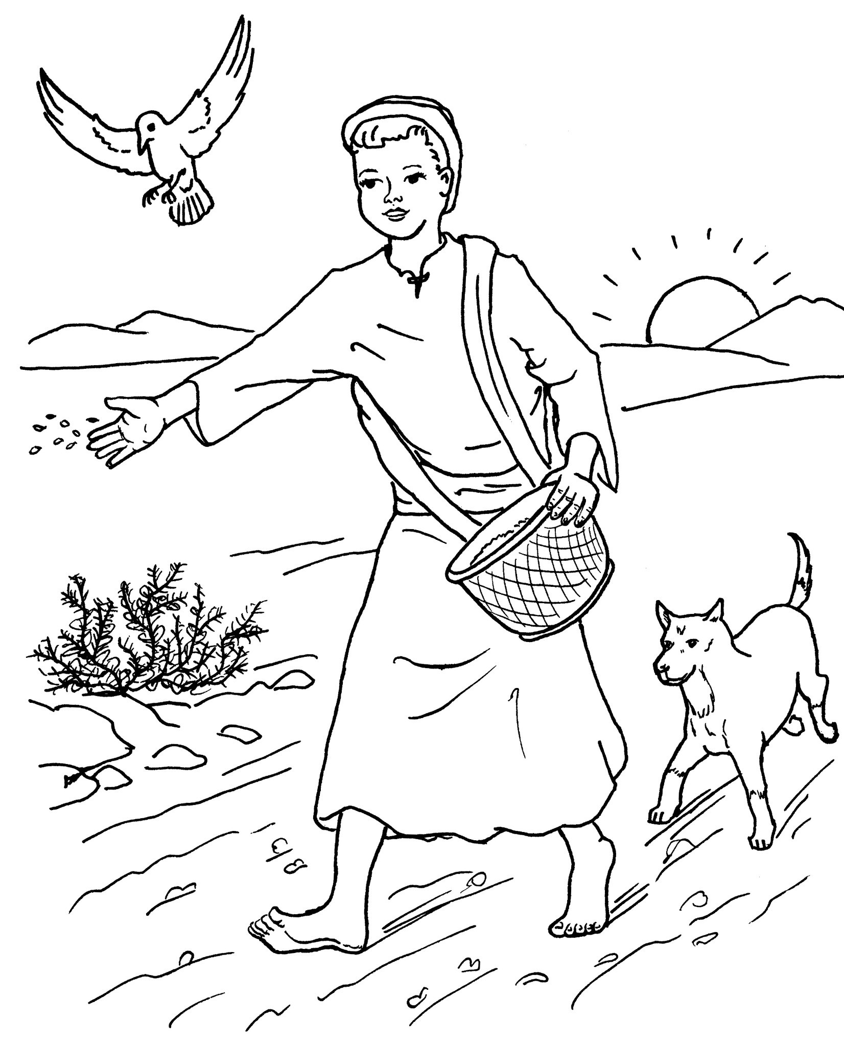 Parable Of The Sower Coloring Page
